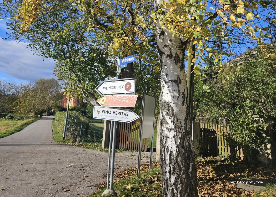 (06618) Naumburg (Saale) - 75 Weinberge — foto