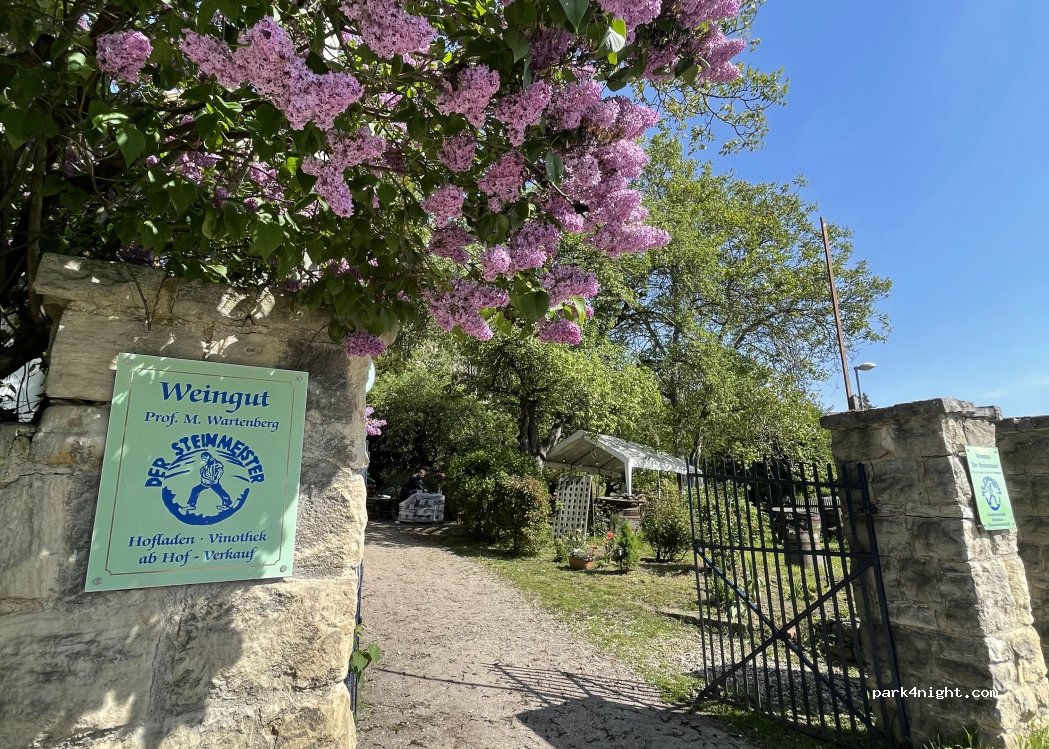 (06618) Naumburg (Saale) - 75 Weinberge — foto 2