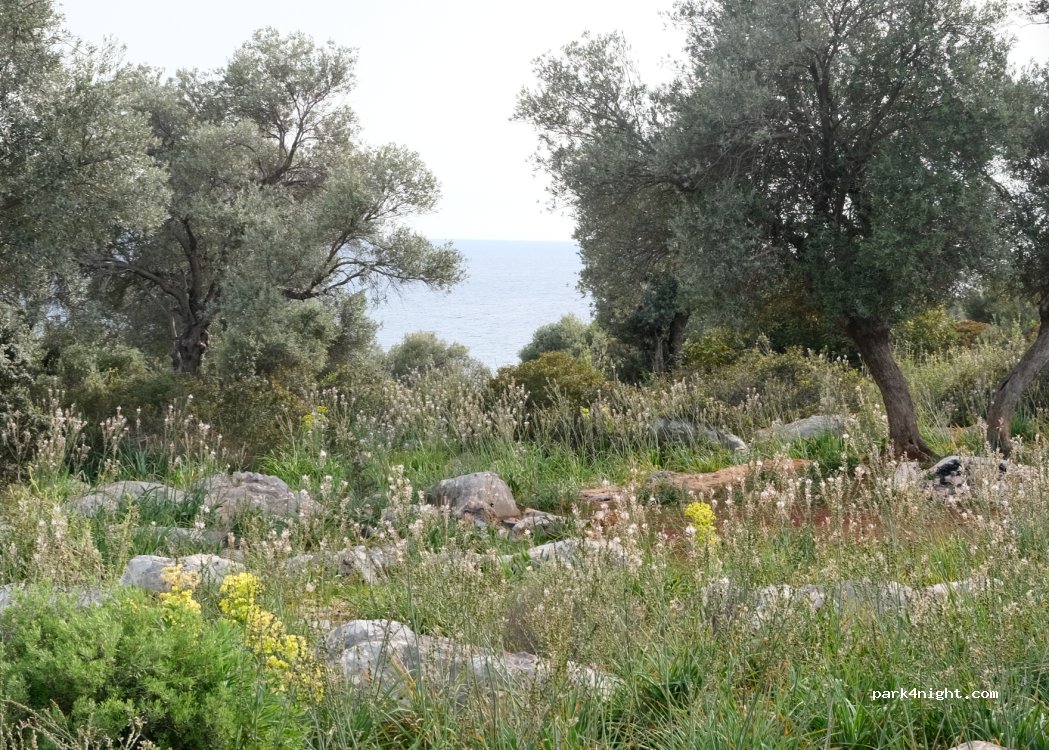 (07570) Demre - Unnamed Road — foto