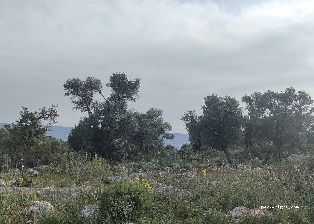 (07570) Demre - Unnamed Road — foto 2