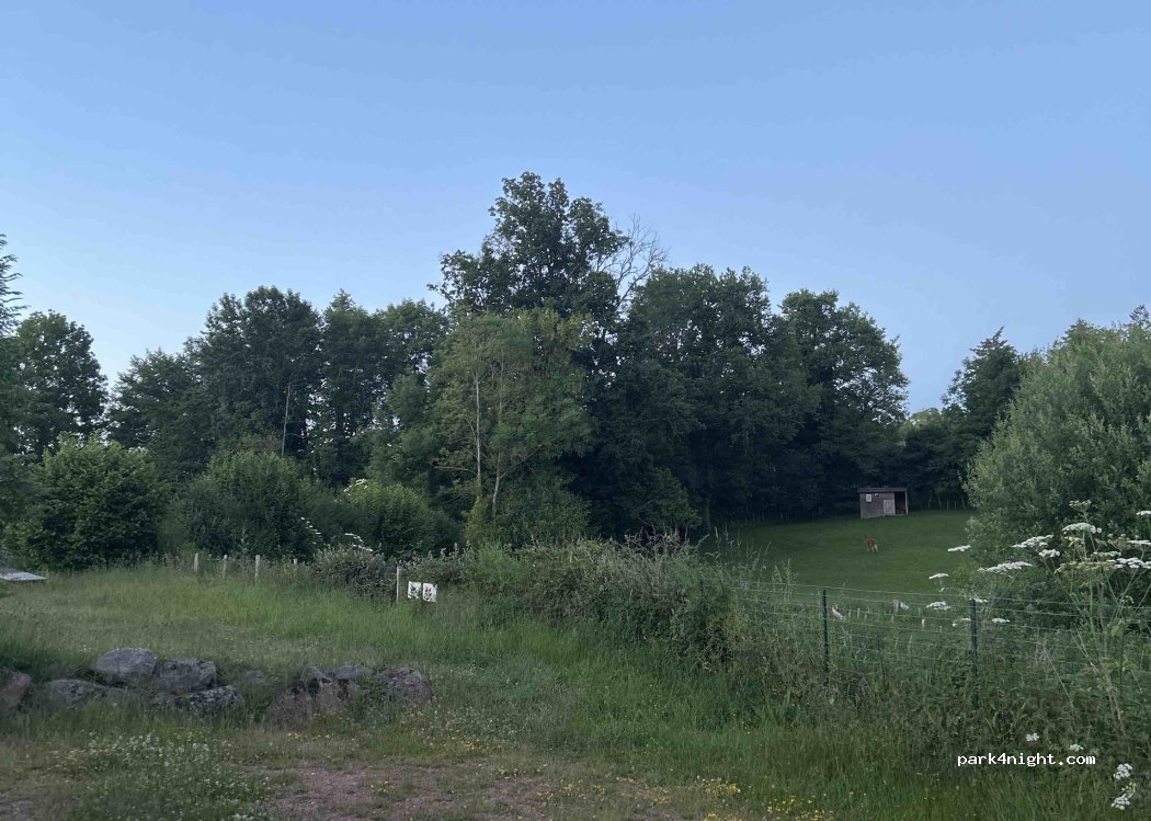 (42620) Saint-Martin-d'Estréaux - — foto