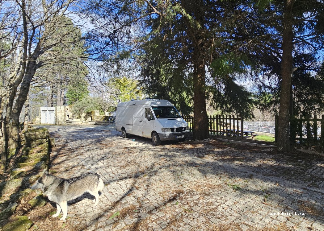 (6260) Manteigas - Estr. Florestal de São Sebastião — foto