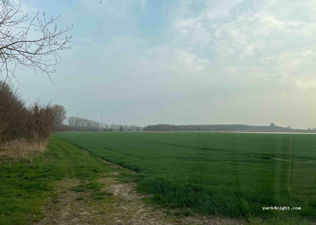 (41569) Rommerskirchen - — foto 3