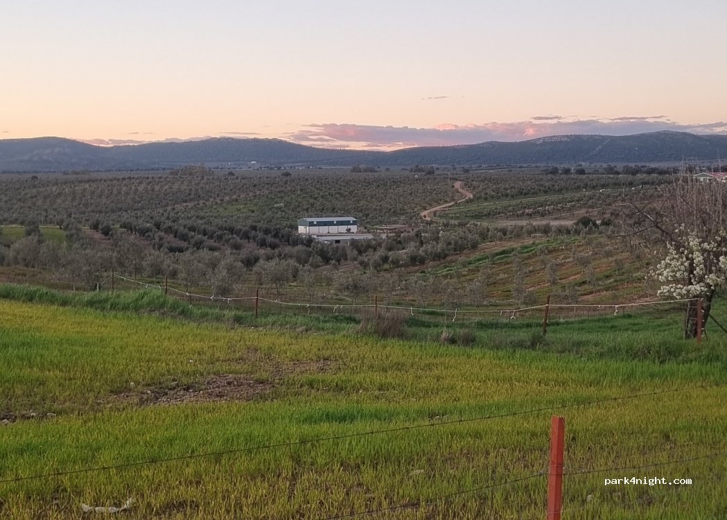 (06919) Peraleda del Zaucejo - C. Fuente Vieja, 35 — foto