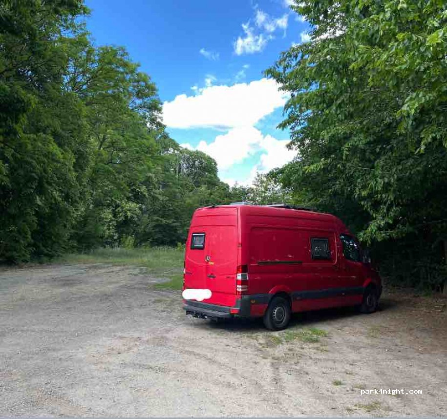 (04936) Fichtwald - L691 — foto