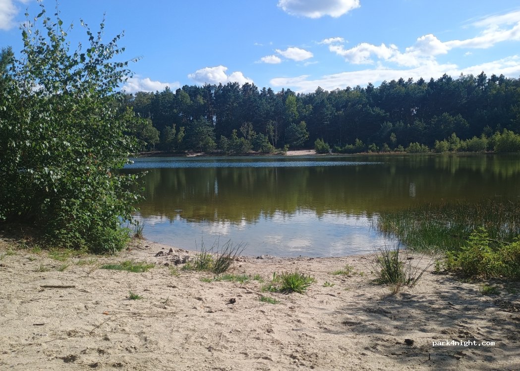 (04936) Fichtwald - L691 — foto 4