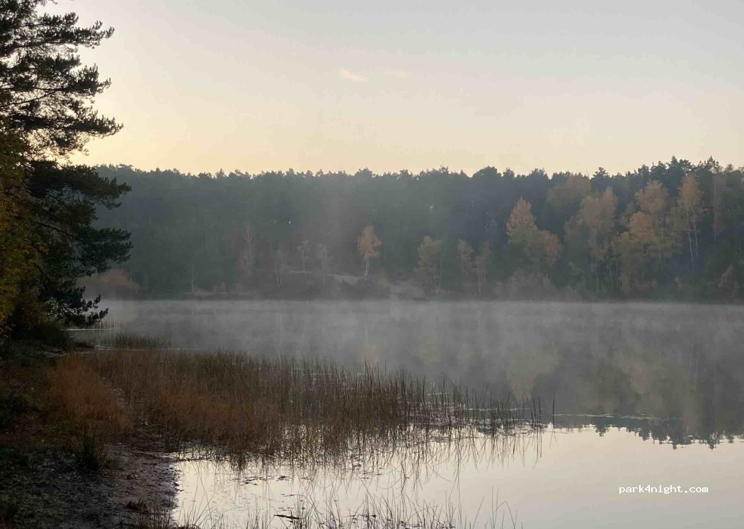 (04936) Fichtwald - L691 — foto 5