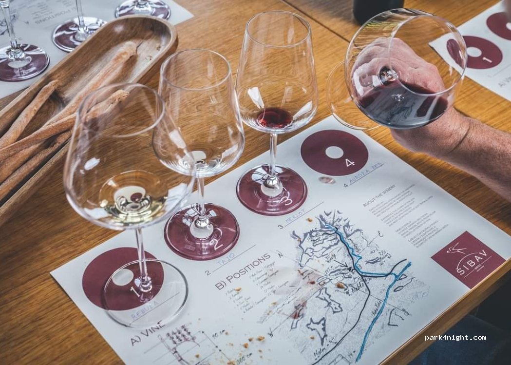 Šibav winery — foto 5