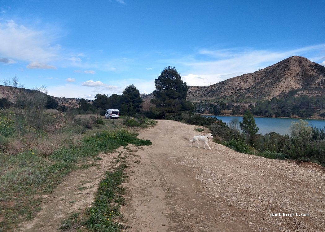 (50795) Fayón - — foto