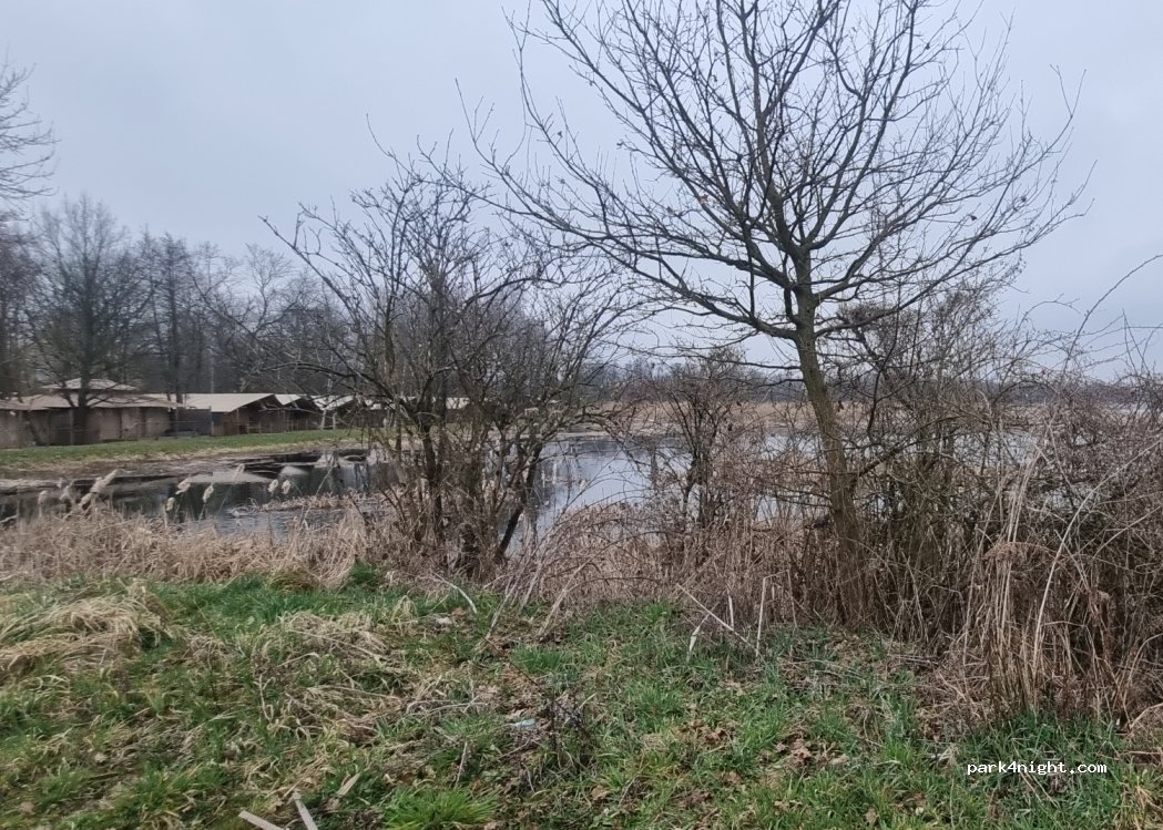 (32-640) Podolsze - 2 Rybacka — foto