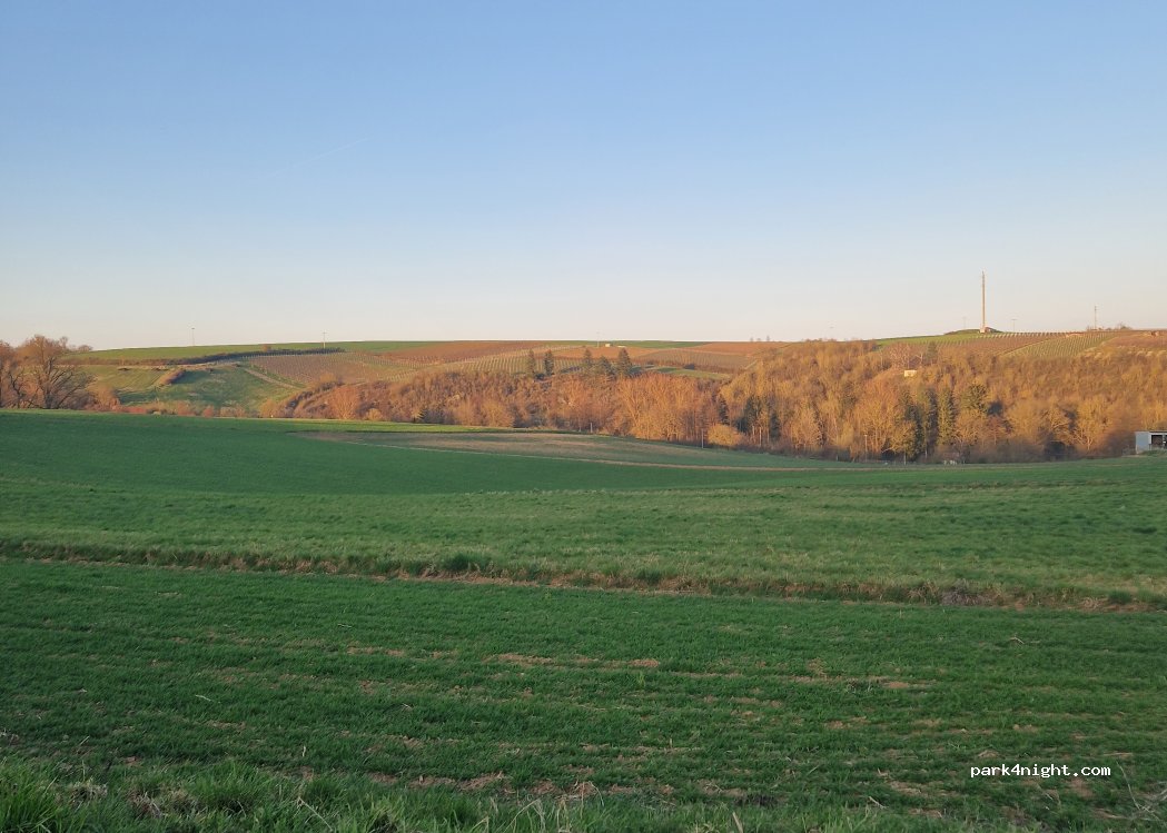 Weingut Knauer — foto