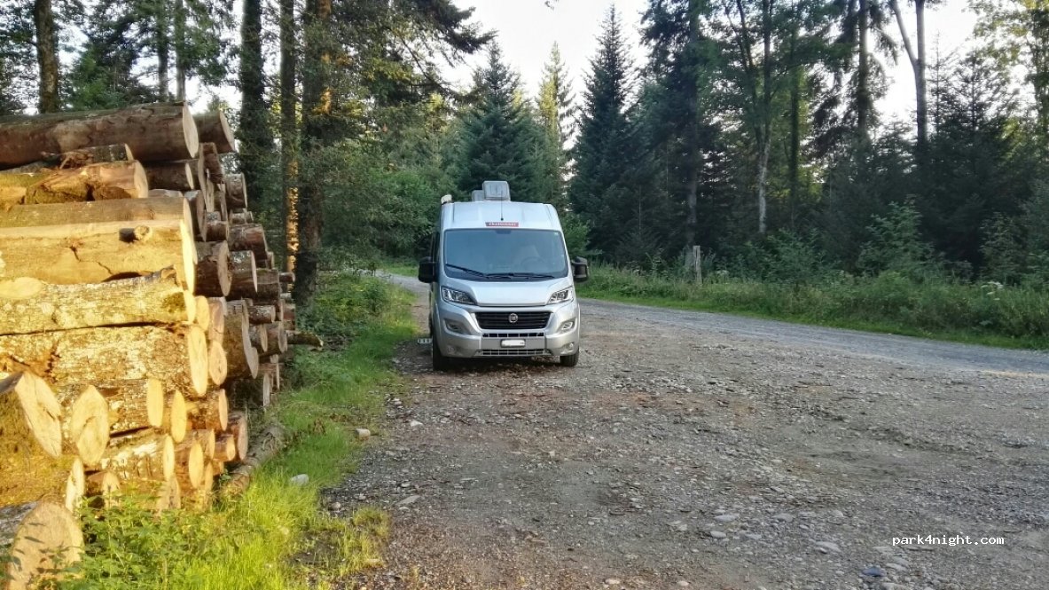 (1000) Lausanne - 1 Les Saugealles — foto 2