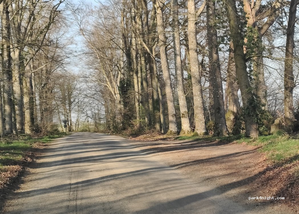 (35500) Pocé-les-Bois - — foto