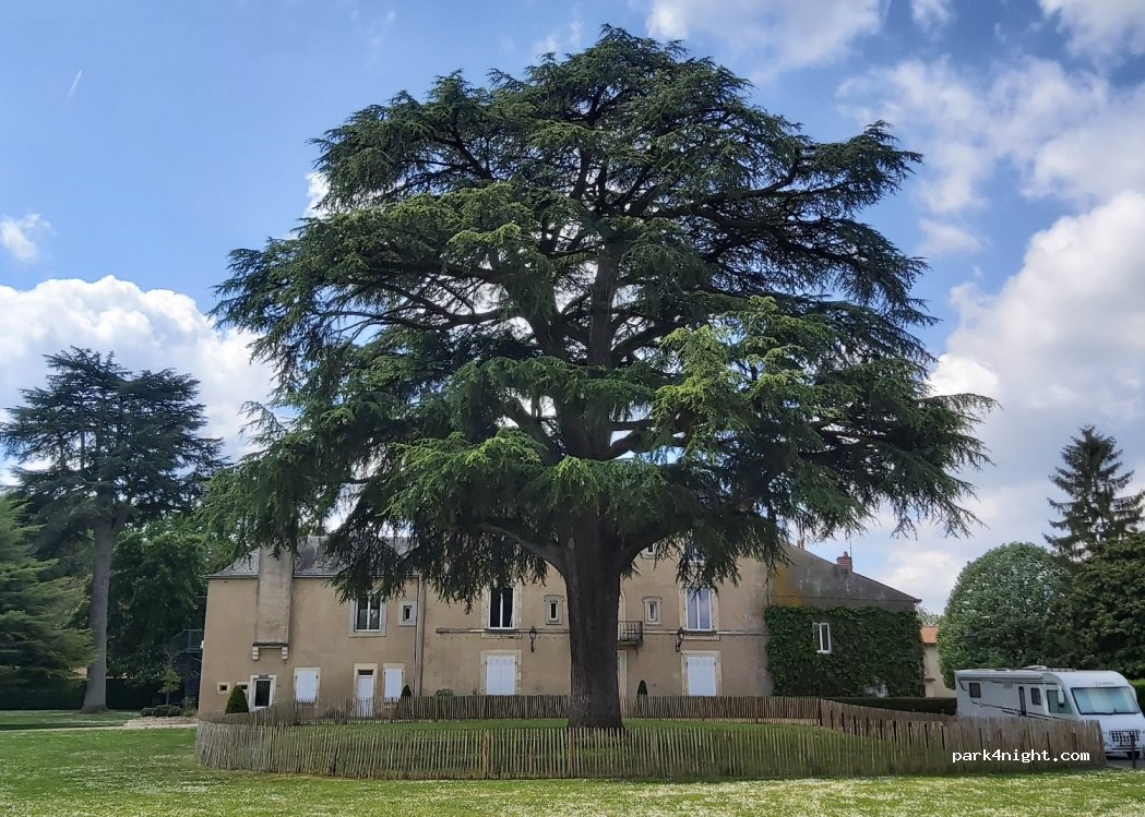 (86370) Vivonne - 5 Avenue de Bordeaux — foto