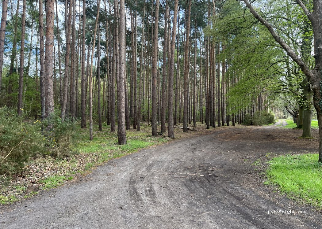 (IP28 6HE) Bury St Edmunds - — foto 3