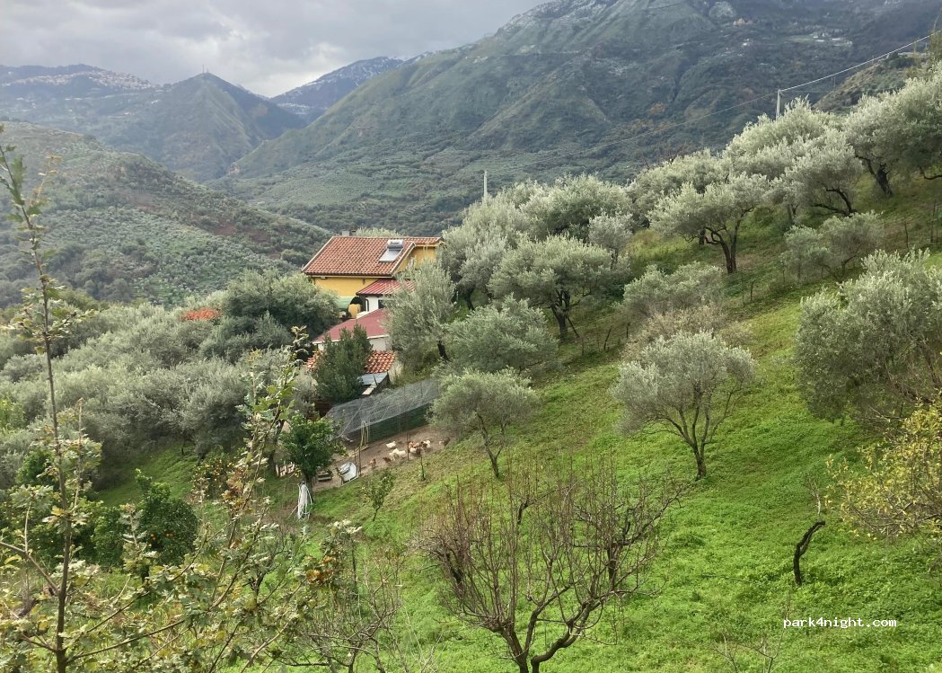 Oasis D'Harmonie — foto 3