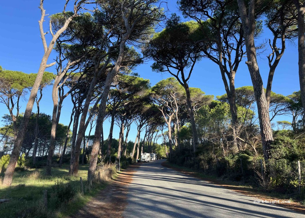 (57016) Rosignano Marittimo - Via di Pietrabianca — foto 5