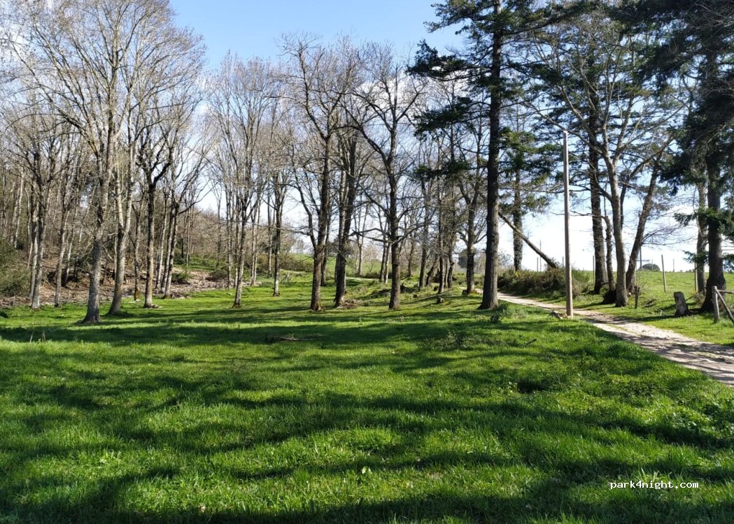 (11310) Saissac - 2 La Bastide — foto