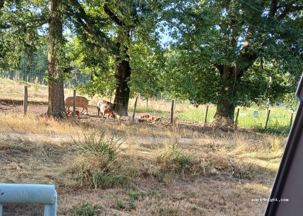(11310) Saissac - 2 La Bastide — foto 5