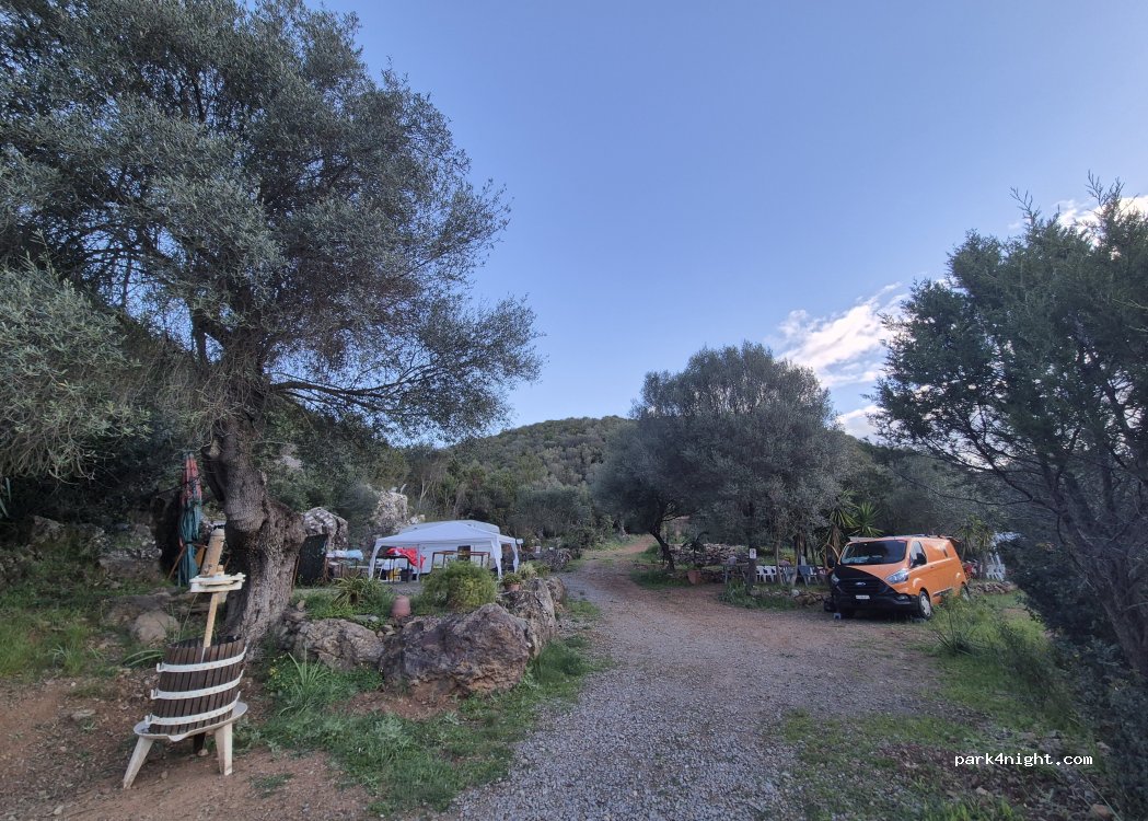 Grotta dei Fiori — foto