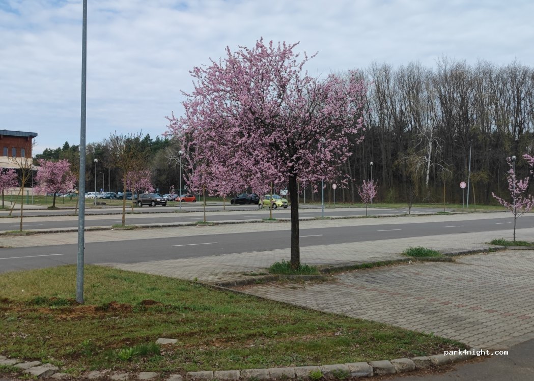 (4300) Nyírbátor - 1 Fürdő utca — foto 3