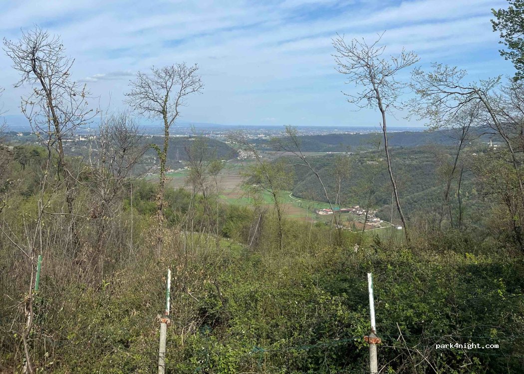 Berici Woods Camping — foto 2