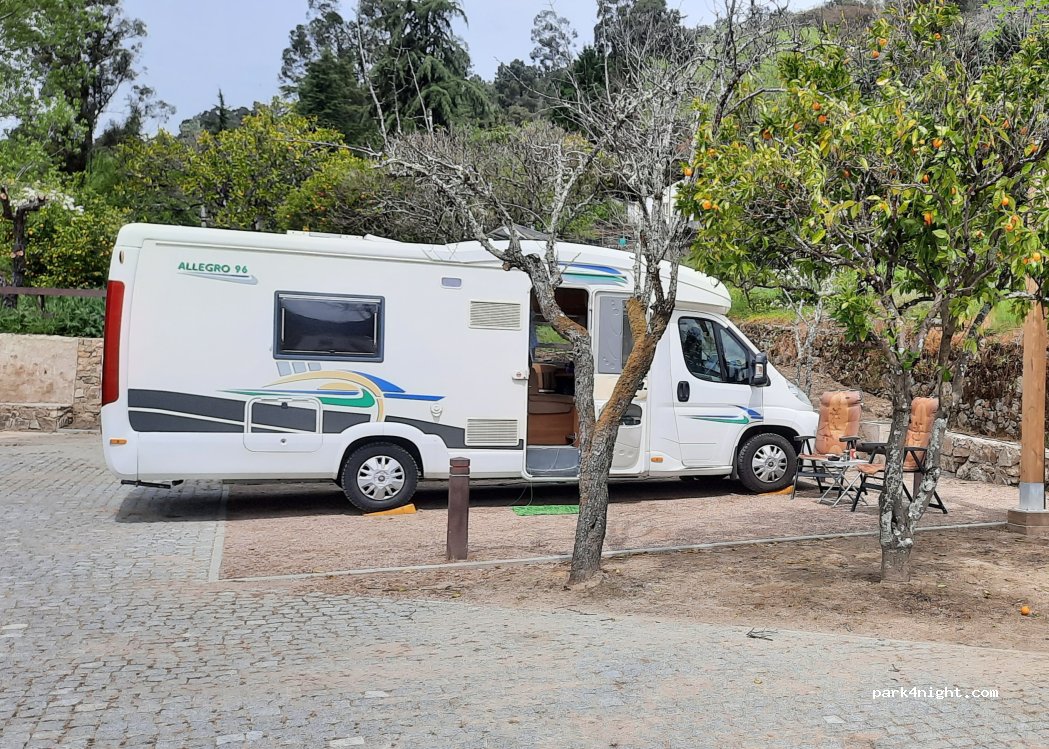 (7300) Ribeira de Nisa - 1 Rua Professor Paulo Castelhano — foto 3