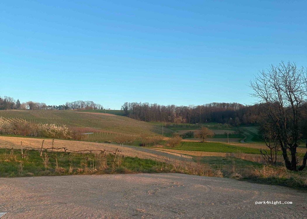 Weingut Lämmlin Schindler — foto
