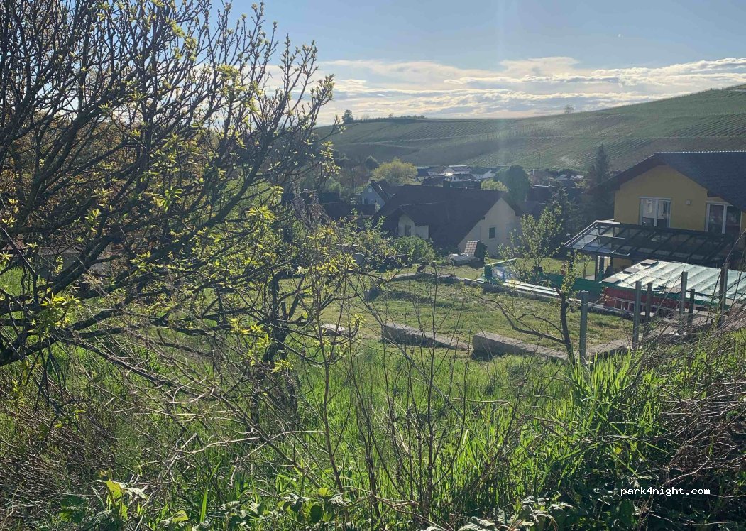 Weingut Lämmlin Schindler — foto 3