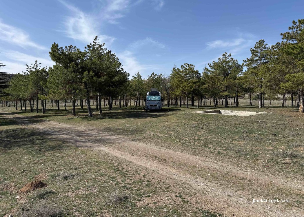 (42520) Alibeyhüyüğü - — foto