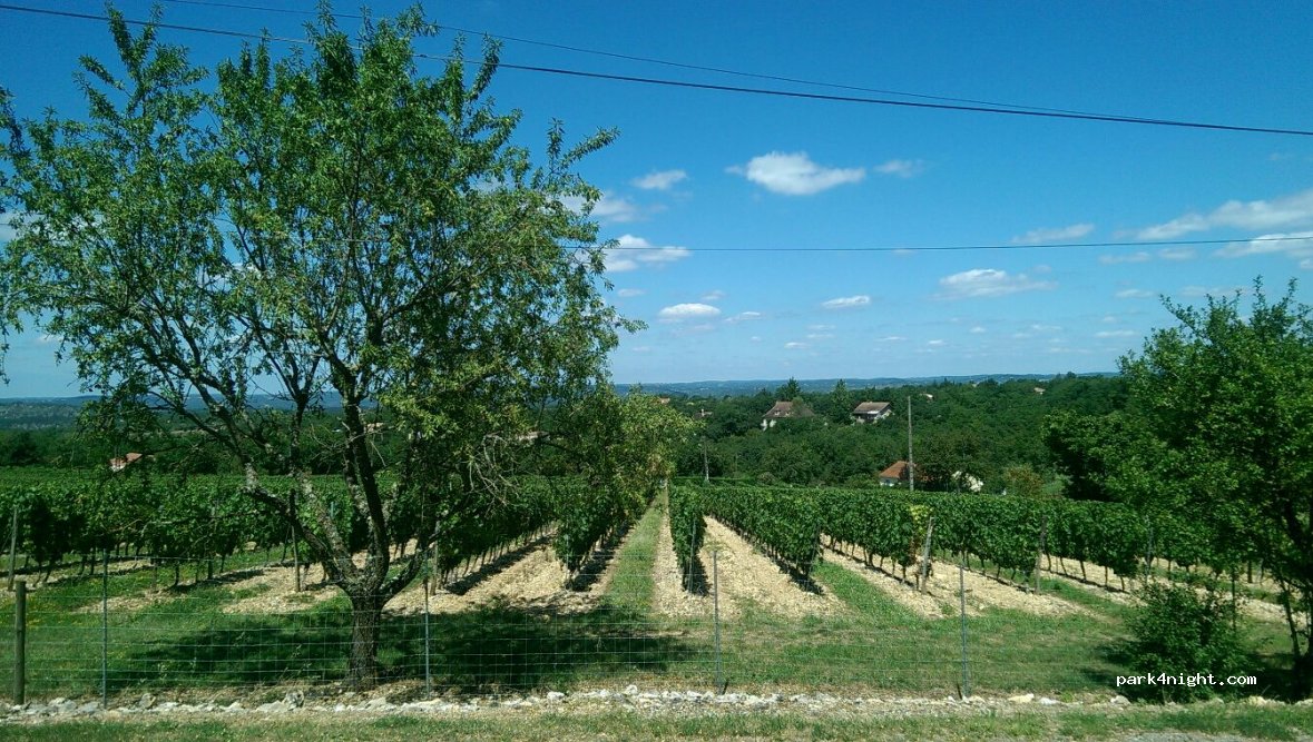 (46000) Cahors - 242-362 Chemin Lacapelle — foto 3
