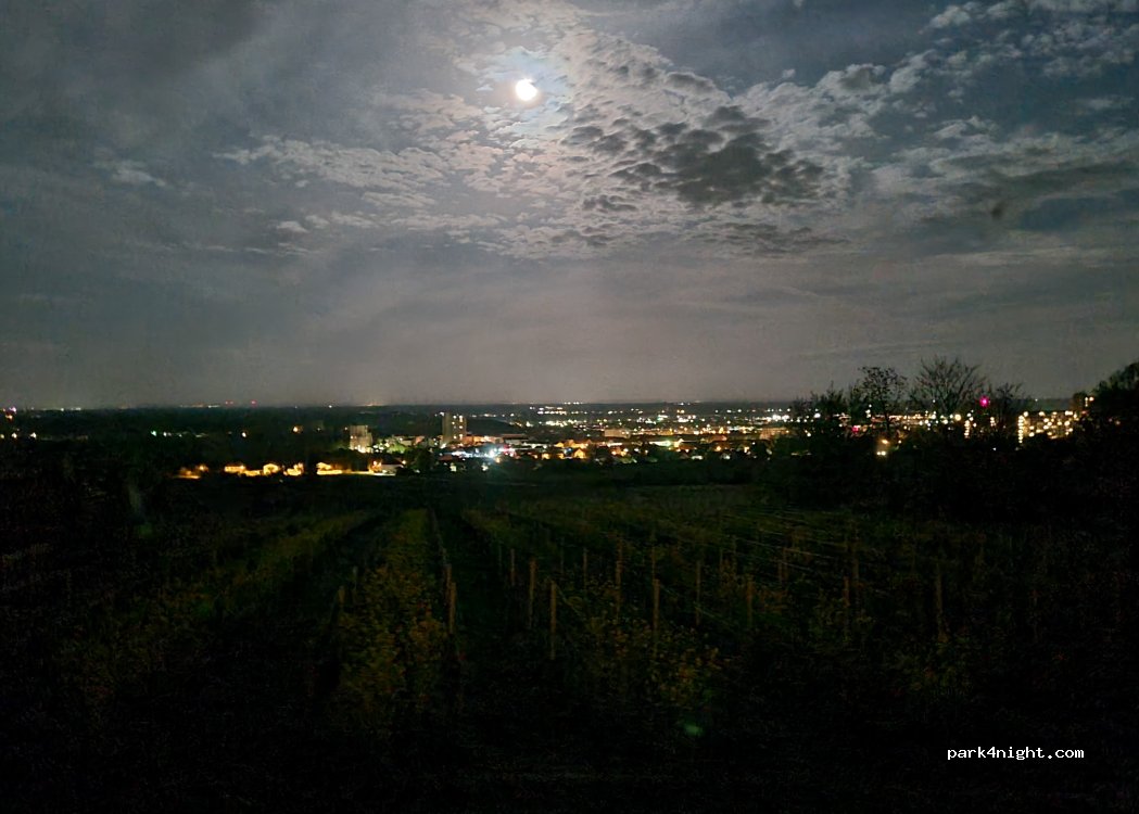 (67433) Neustadt an der Weinstraße - 94 Mandelring — foto 3