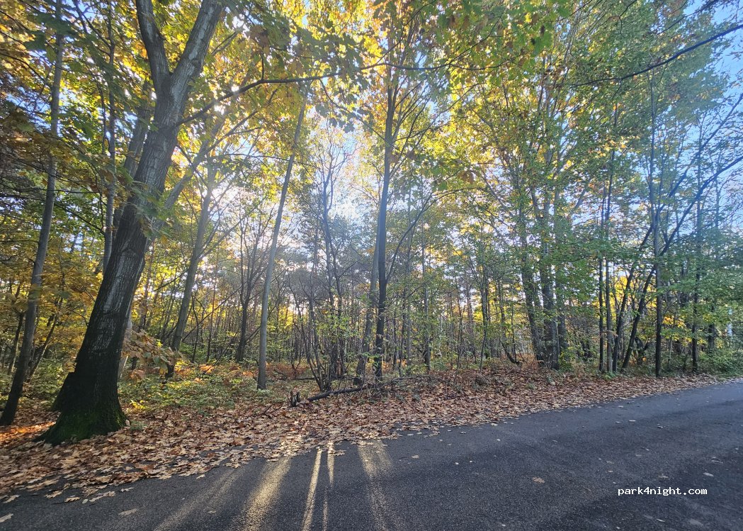 (22070) Pinetina - Unnamed Road — foto