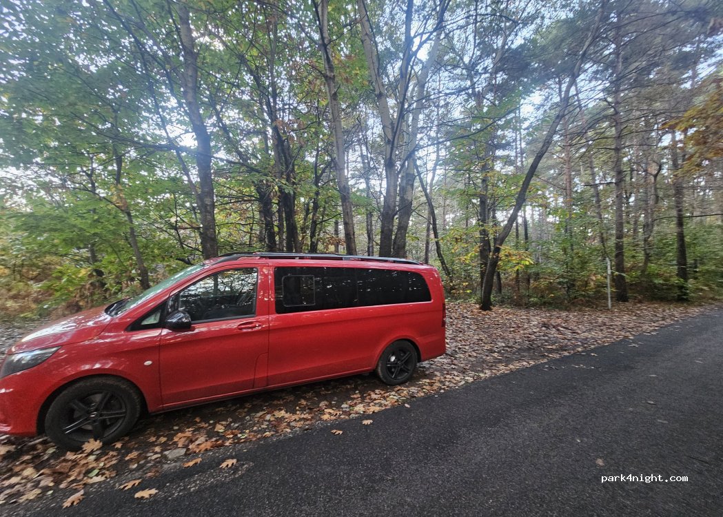 (22070) Pinetina - Unnamed Road — foto 3