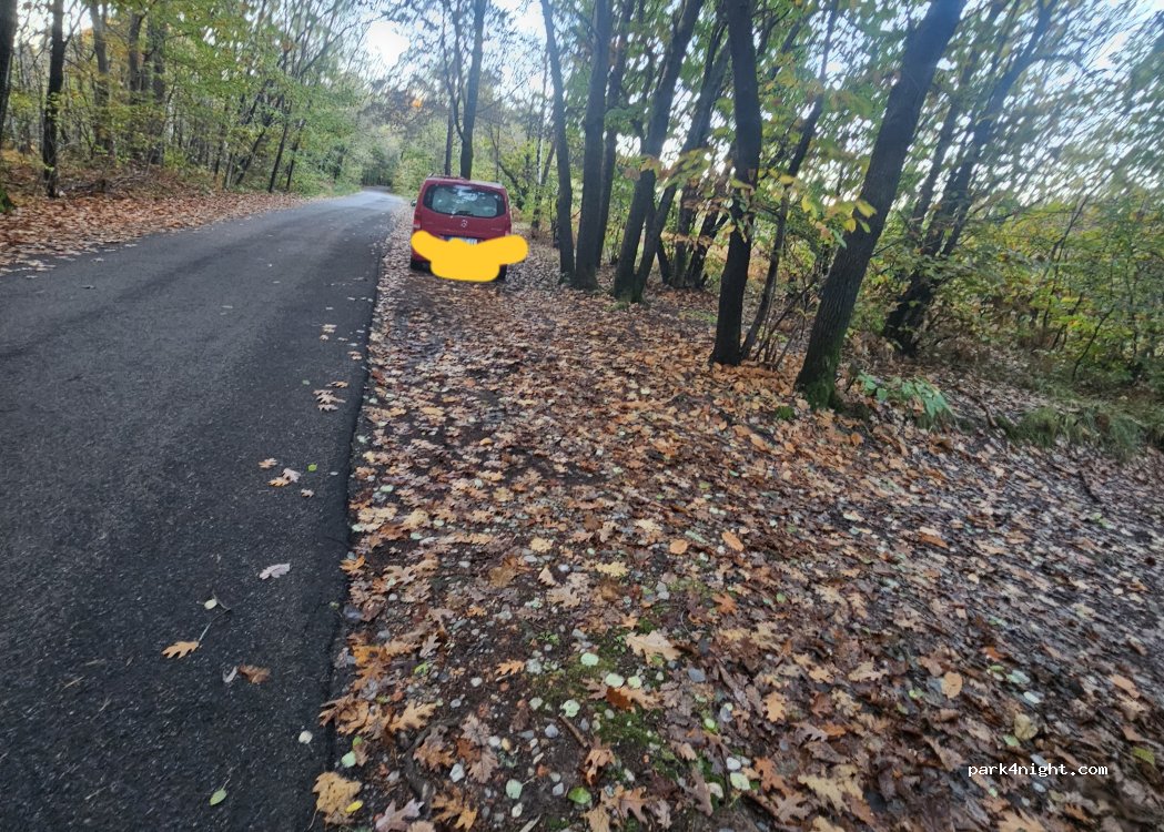 (22070) Pinetina - Unnamed Road — foto 4