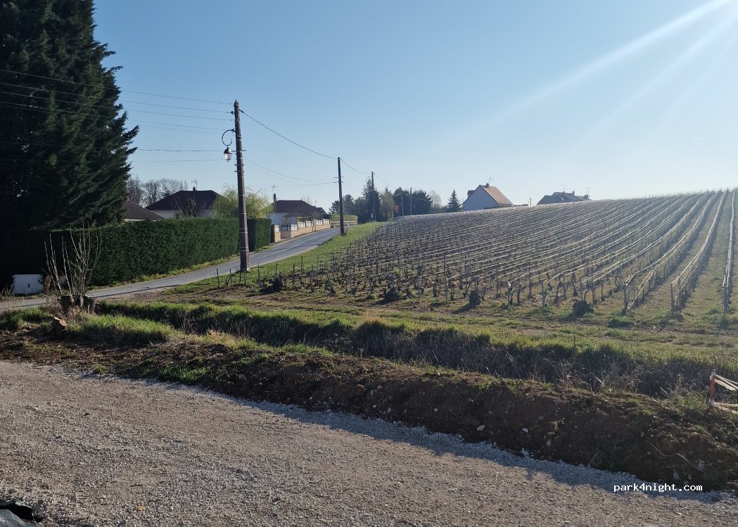 (51500) Sermiers - 28 Route de Montaneuf — foto 2