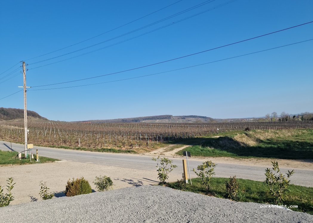 (51500) Sermiers - 28 Route de Montaneuf — foto 3