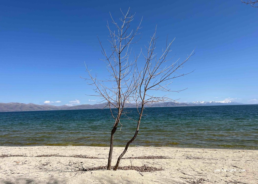 Tarsus Sevan — foto 2