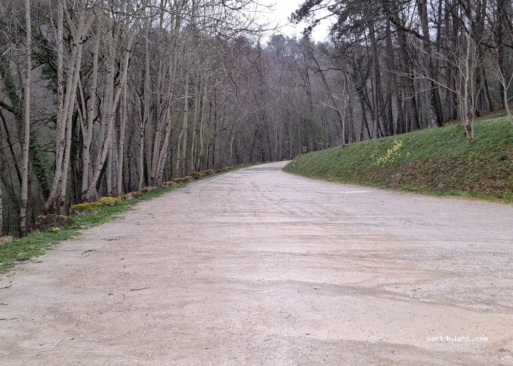 (24620) Marquay - 454 Route de Puymartin — foto 2