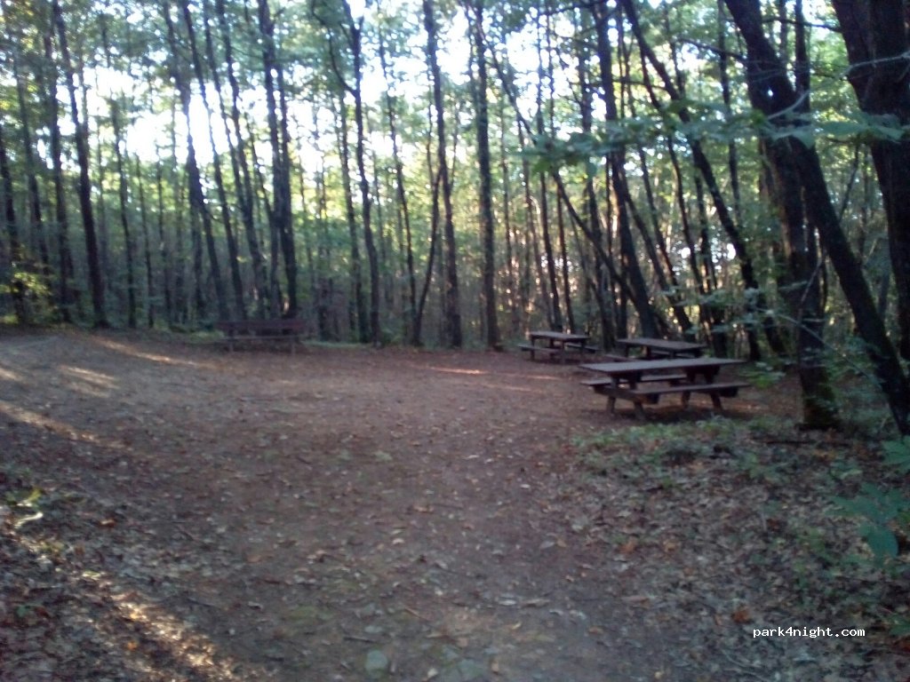 (85700) Pouzauges - 30 Rue du Terrier Marteau — foto 3