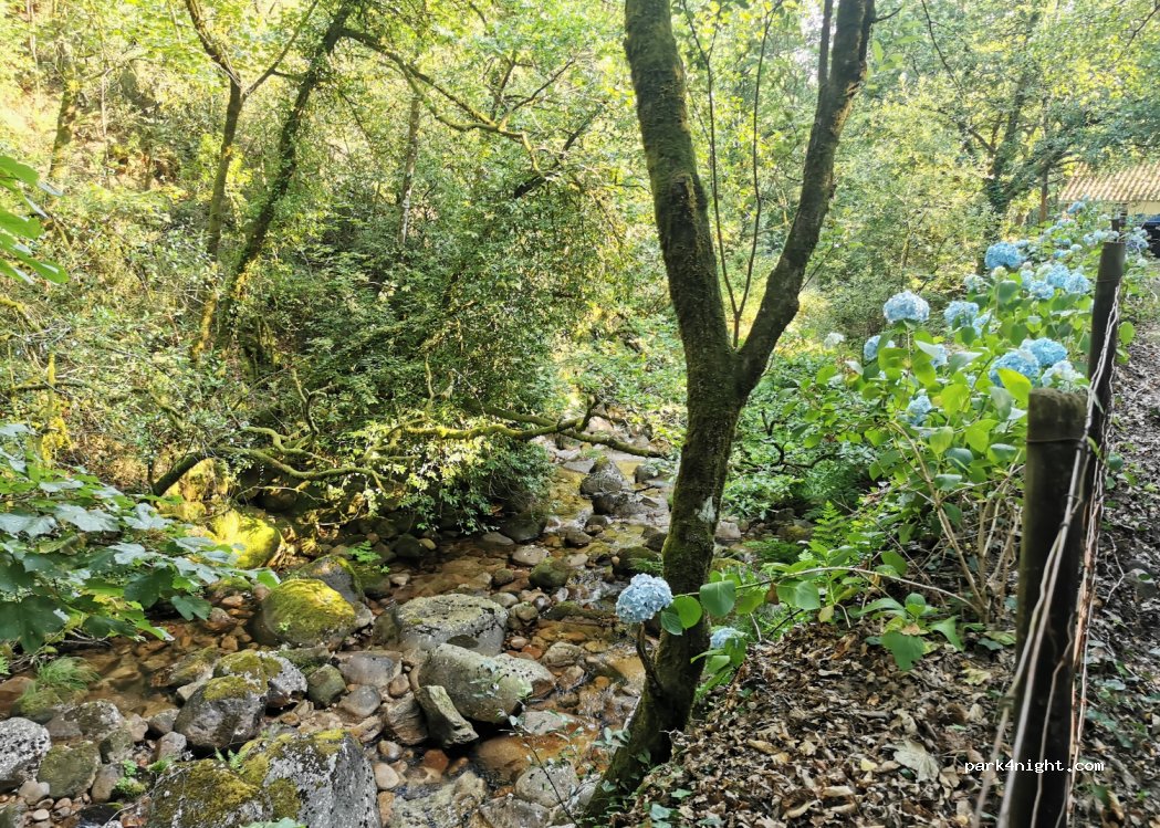 Vidoeiro Geres Camping — foto 2