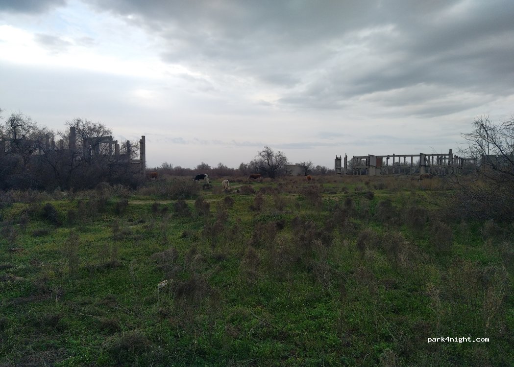 (416155) Vatazhnoe - — foto 3