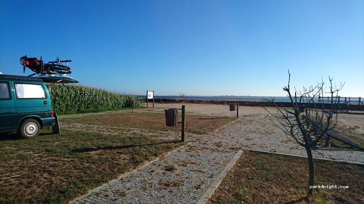 (3870) Murtosa - 210 EM1388 — foto