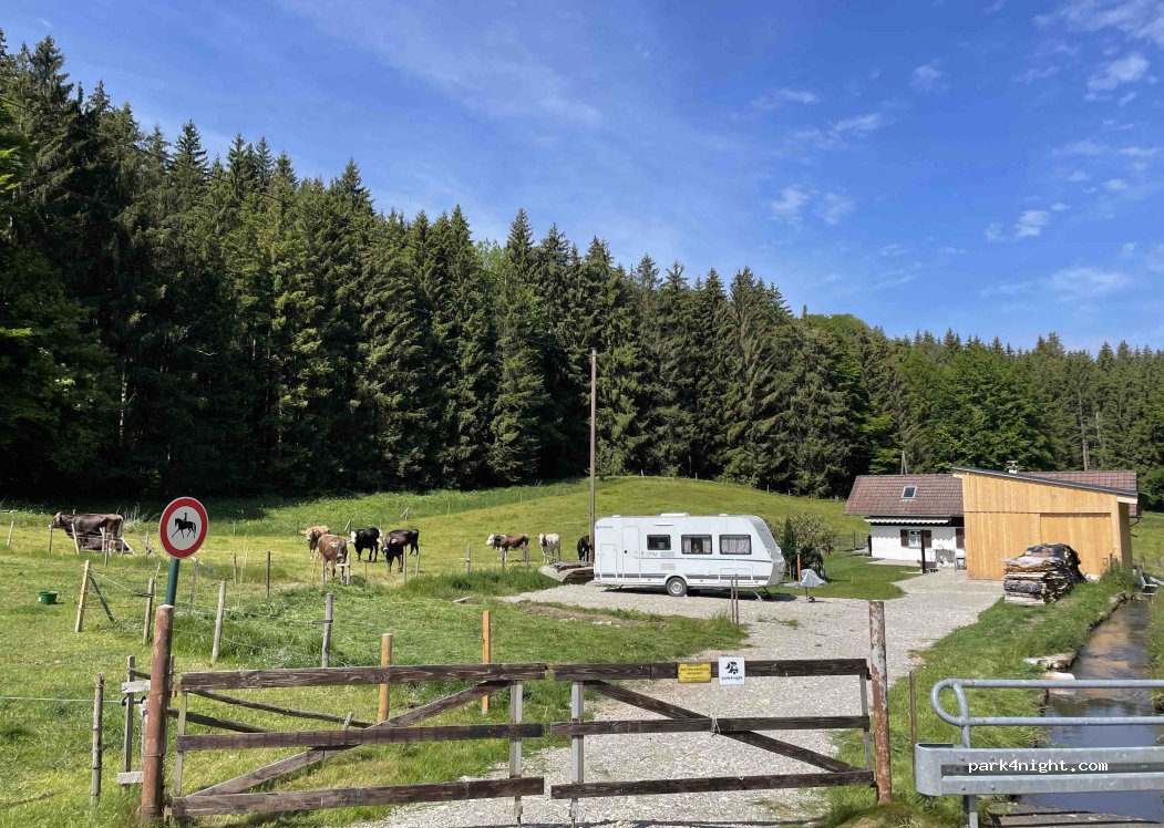(87730) Bad Grönenbach - Wiese neben Ehwiesmühle 2 — foto