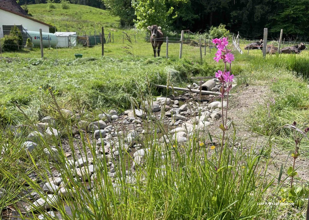 (87730) Bad Grönenbach - Wiese neben Ehwiesmühle 2 — foto 3