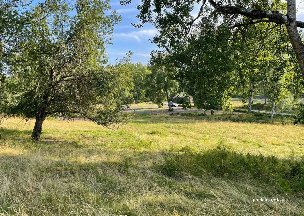 Tegelviken Naturcamping — foto 4