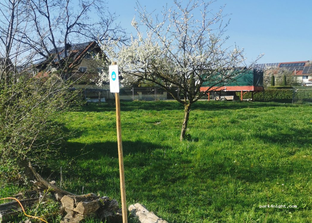 Arno's Straußwirtschaft & Winery Kieninger — foto 4