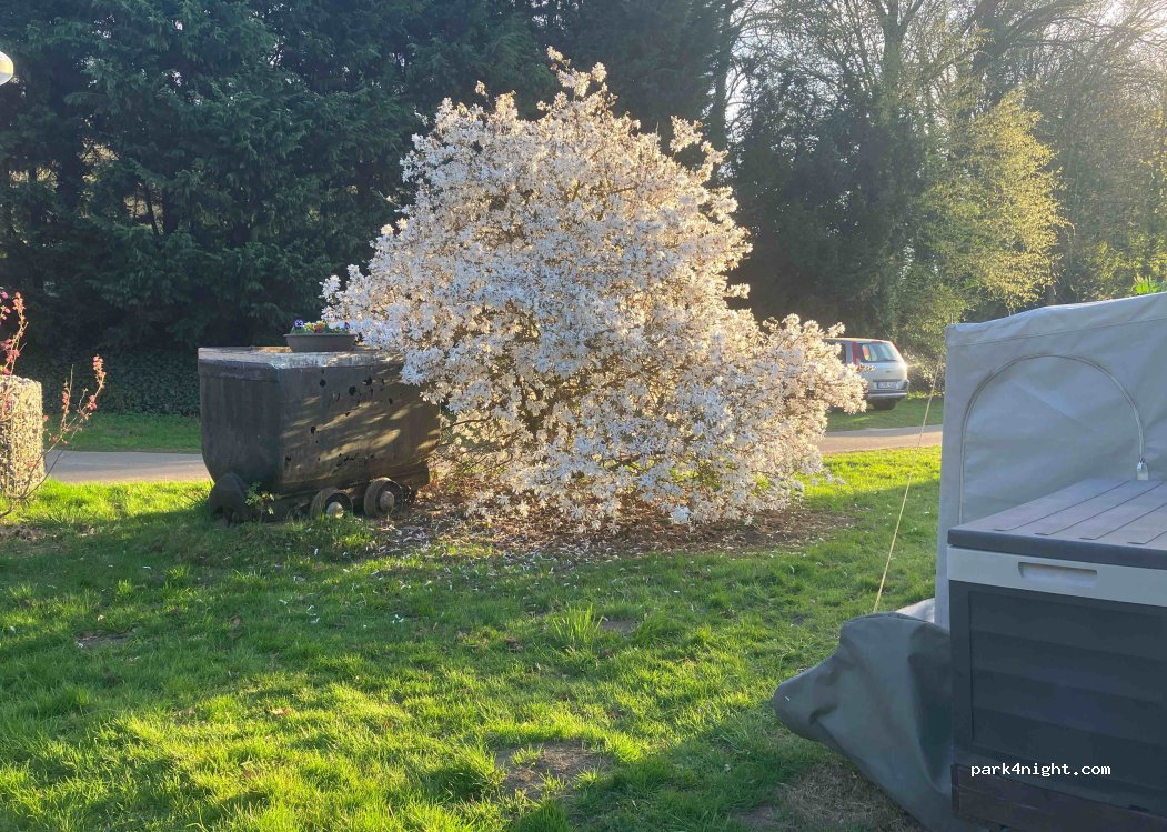 Campingplatz Deichklause — foto 4