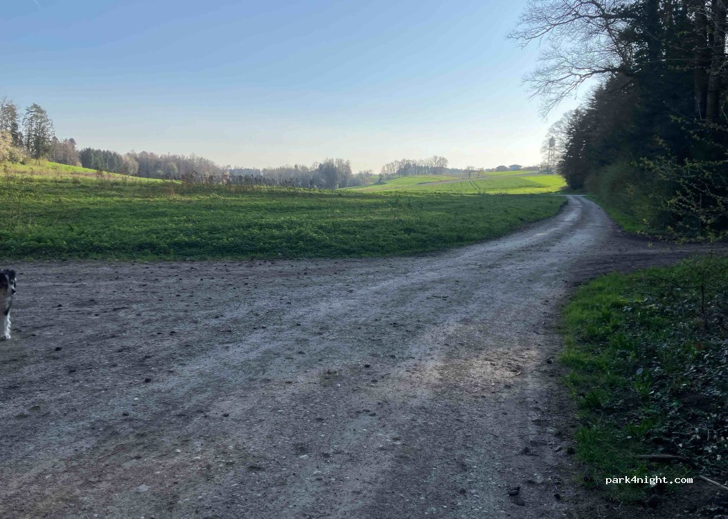(1587) Vully-les-Lacs - — foto