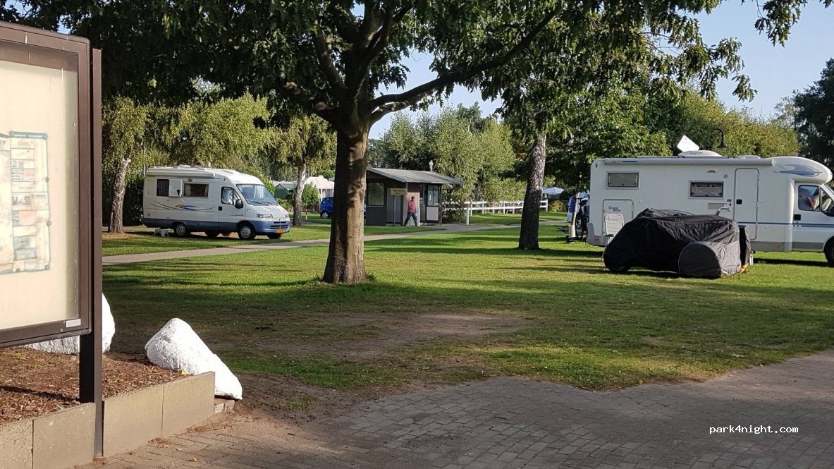 Steller See — foto